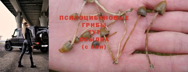 ГАЛЛЮЦИНОГЕННЫЕ ГРИБЫ Алексеевка