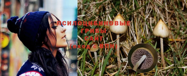меф Алзамай