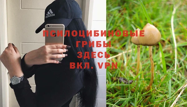 каннабис Алексин