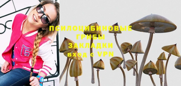 мяу мяу кристалл Ельня